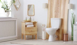 厕所顽固污渍怎么去除 厕所严重污渍怎么洗