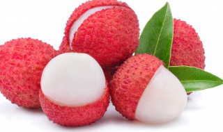 广东荔枝什么时候成熟季节 广东荔枝成熟的季节是几月