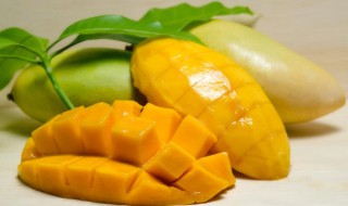芒果什么季节成熟(芒果什么季节成熟?)