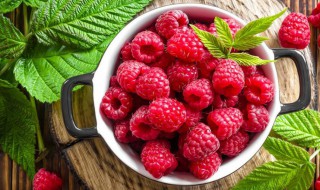 树莓在什么季节成熟（树莓的成熟期是什么时候）