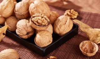 核桃什么季节成熟（核桃什么季节成熟几月份的）