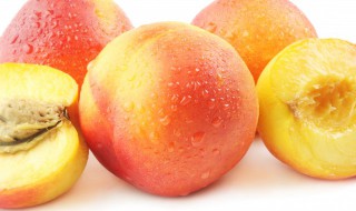 油桃什么季节成熟 油桃什么季节成熟季节