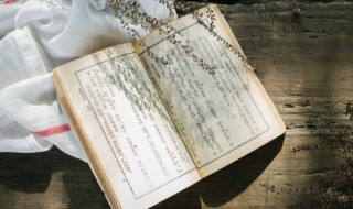 李清照最美的词取网名（李清照的词起名字）