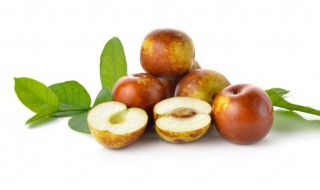 枣树怎么种植 枣树怎么种植容易活