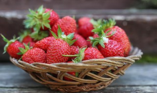 草莓籽怎么种植（草莓籽怎么种植才能最快发芽）