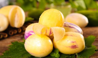 人参果树苗怎么种植 人参果树苗的种植方法