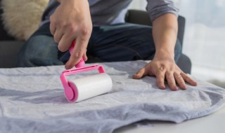 粘毛器怎么清洗（粘毛器上的毛怎么处理）