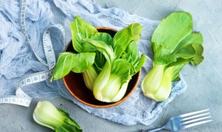 上海青怎么种植 上海青怎么种植方法视频