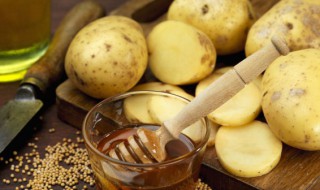 怎么种植土豆（怎么种植土豆盆栽）