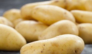 土豆怎么水培种植（土豆的水培种植方法）