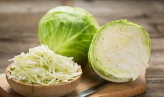 室内种菜怎么种(室内种菜怎么种过程)