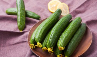 黄瓜种子怎么种植（满地爬黄瓜种子怎么种植）