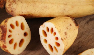 莲藕苗怎么种植 莲藕苗怎么种植水