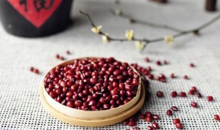 红豆种子怎么种植 红豆种子什么时候种怎样种