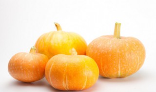 板栗南瓜怎么种植（板栗南瓜怎么种植产量高）