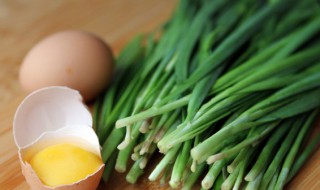 韭菜怎么种植技术（韭菜的种植技术）