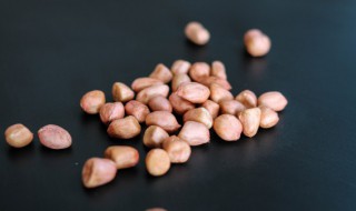 花生芽怎么种植（花生芽怎样种植技术）