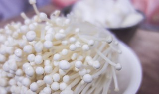 全针菇怎么种植（鲜菇种植技术）