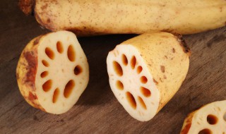 怎么种植莲藕（庭院小鱼池怎么种植莲藕）