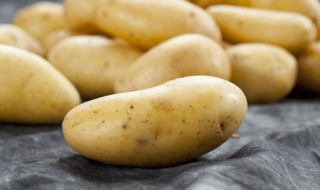 土豆发芽后怎么种植（土豆发芽怎么栽）