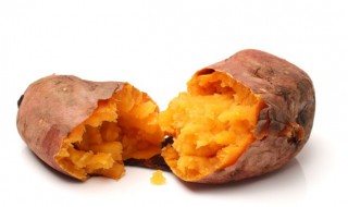 红薯怎么水种植方法 红薯水养殖方法