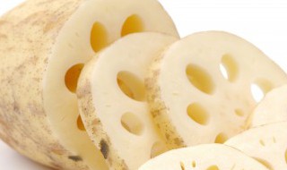 莲藕是怎么种植的（莲藕种子怎么种植）