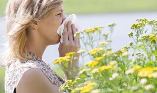 油菜花有紫色的吗（开紫色花的油菜）