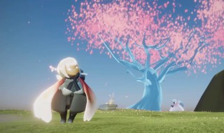 光遇雨林赏花任务怎么做 光遇任务在雨林赏一会花