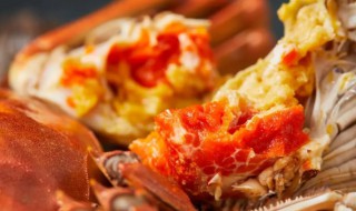 螃蟹是不是昆虫 螃蟹是不是昆虫?为什么?