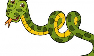 蛇为什么能吞下很大的动物 蛇为啥能吞下身体大的动物呢