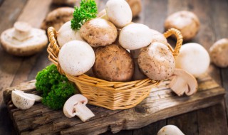 口蘑可以在冰箱放多久 口蘑放冰箱能放几天