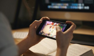 玩本是什么意思啊 玩本是什么意思啊 桌游