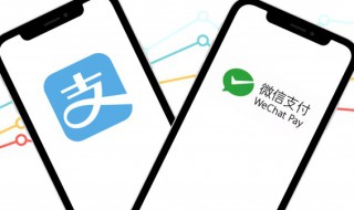 支付宝怎么申请商家 支付宝怎么申请商家收款码支持花呗