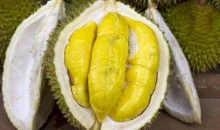 榴莲一般是什么季节成熟 榴莲什么季节最成熟