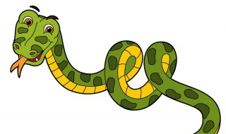 为什么毒蛇和无毒蛇长得不一样 为什么毒蛇和无毒蛇长得不一样呢