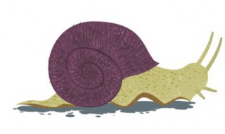 为什么田螺和蜗牛不能生活在一起 田螺和蜗牛的关系