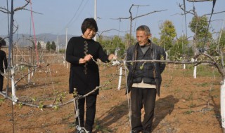 三股劲指哪三股劲（三股劲是什么时候提出的）