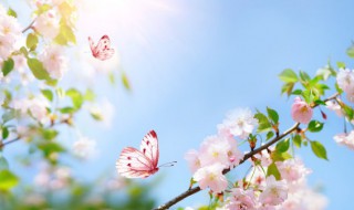 清明节心情说说难过 清明节难过的句子