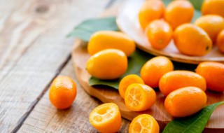 盆载金桔的养殖方法 家庭盆栽金桔的种植和养护方法