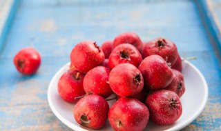 山楂树盆栽种植方法（山楂树怎么栽）