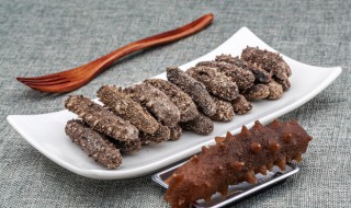 海参饵料海泥发酵方法 海参发酵饲料制作方法