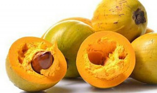 鸡蛋果树种植方法（鸡蛋果的种植方法）