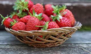 草莓种子种植方法（草莓种子种植方法步骤）