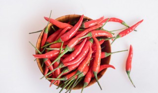 种植辣椒的时间和方法(辣椒的种植方法与时间)