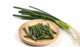 盆栽香葱的种植方法（怎样栽种香葱）