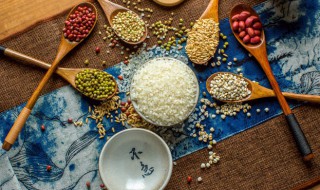 红豆的种植方法 红豆的种植方法和时间