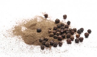 胡椒种植条件及种植方法介绍（胡椒适合什么地方种植）