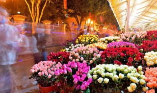 南方三月份适合种什么花（南方3月份适合种什么花）