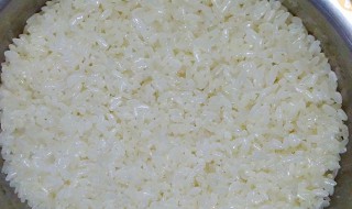 做甜饭用长江米还是圆江米 圆江米可以做米饭吗