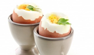 狗狗可以吃煮熟的鸡蛋黄吗 狗狗能吃煮熟的蛋黄吗?